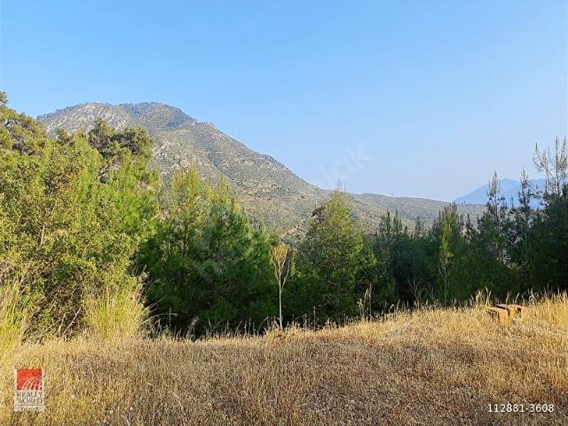 OLİMPOS'TA HARİKA KONUMDA 4157 M2 SATILIK TARLA