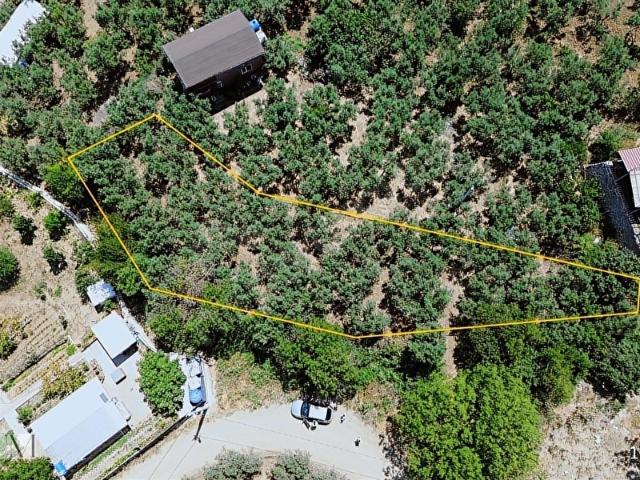 OLİVİUM'DAN MUDANYA ÇEPNİ'DE SATILIK YOLA CEPHE ZEYTİNLİK