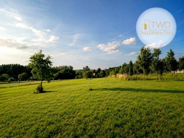 Olimpijska 920 m², Dąbrowa Górnicza