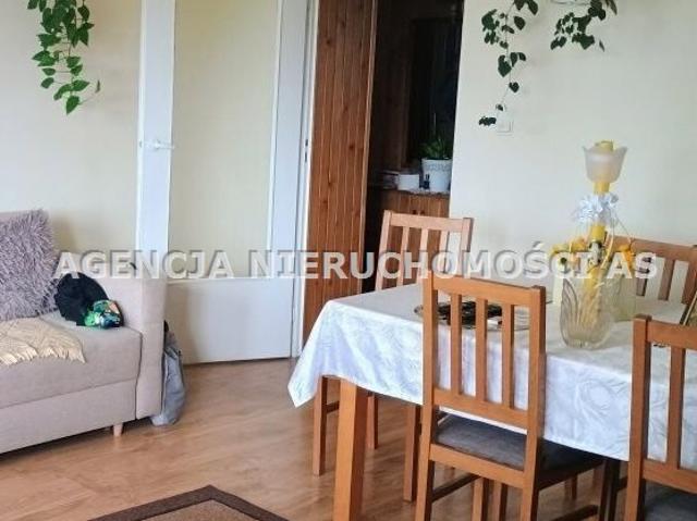 Olkusz, 60 m2