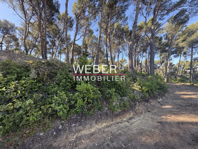 OLLIOULES TERRAIN A BATIR 6400 M2 VUE DEGAGEE