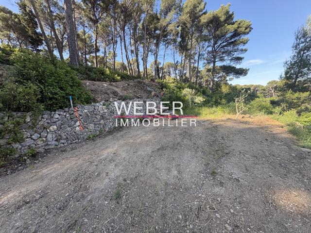 OLLIOULES TERRAIN A BATIR 6400 M2 VUE DEGAGEE
