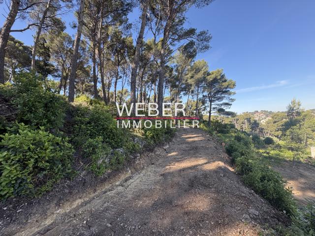 OLLIOULES TERRAIN A BATIR 6400 M2 VUE DEGAGEE