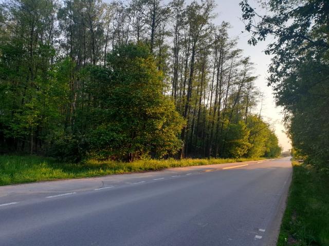 Olszowa 4 000 m², Książenice
