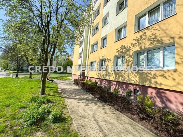 Olsztyn, Pojezierze, Dworcowa, 46,40 m2