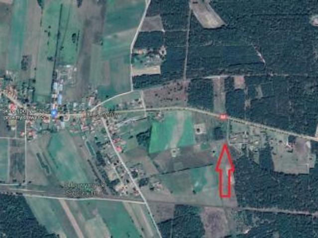Olszyny, 3000 m² Działka