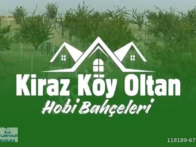 OLTAN KİRAZKÖY KOOPERATİFİNDEN 241 M2 MEYVE BAHÇELERİ