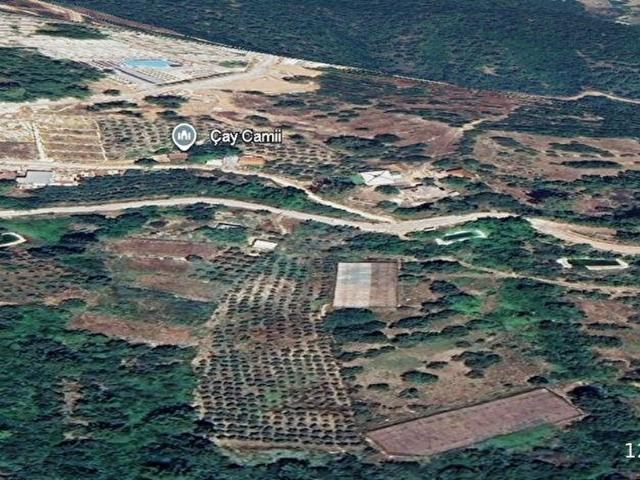 OLİMPOS'TA DOĞAYLA İÇ İÇE OTEL YANI SATILIK TARLA