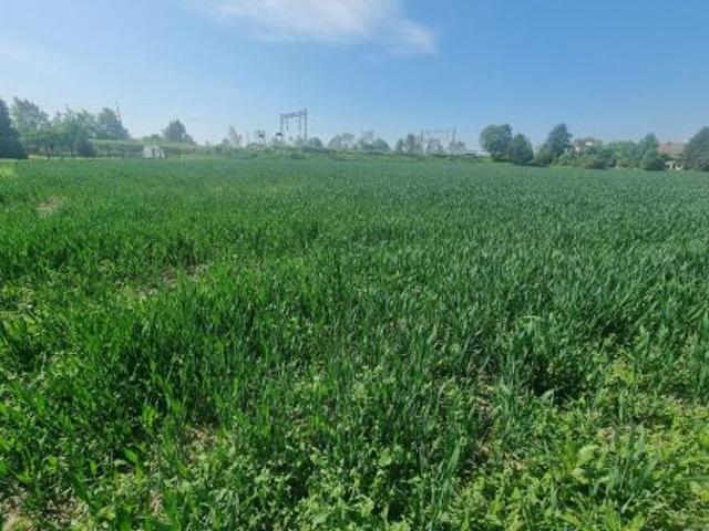 Olza, 4365 m² Działka