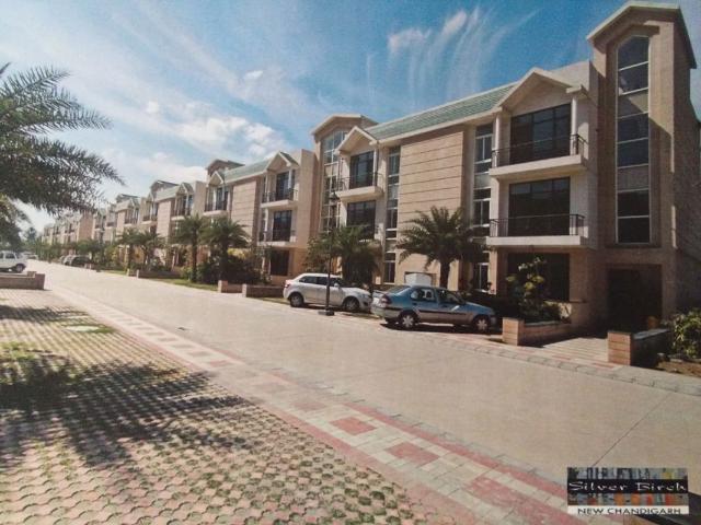 Omaxe The Resort 2 Bedroom 1303 Sq. Ft. Apartment in South Mullanpur Chandigarh Listing ID: #10239