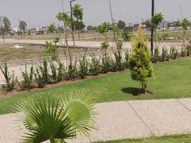 Omaxe City 1 824 Sq. Ft. Plot in Mayakhedi Indore Listing ID: #10158