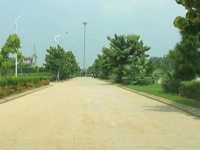 Omaxe New Chandigarh 500 Sq. Yd. Plot in North Mullanpur Chandigarh Listing ID: #10312