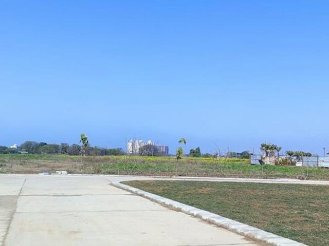 Omaxe New Chandigarh 301 Sq. Yd. Plot in North Mullanpur Chandigarh Listing ID: #10244