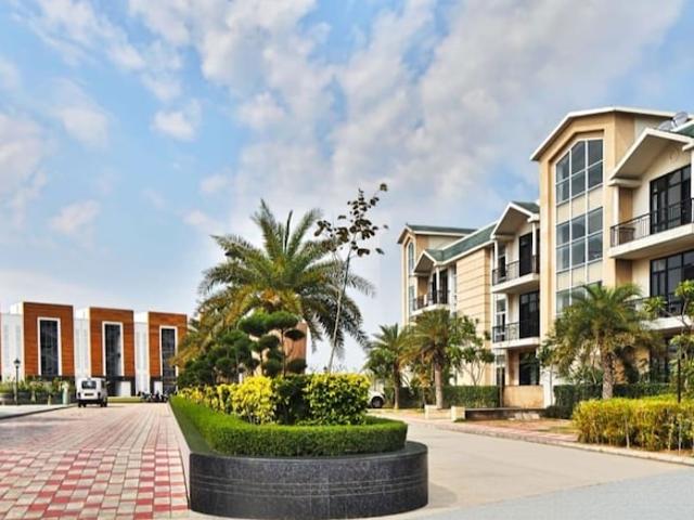 Omaxe Silver Birch 3 Bedroom 1180 Sq. Ft. Builder Floor in North Mullanpur Chandigarh Listing ID: #10206