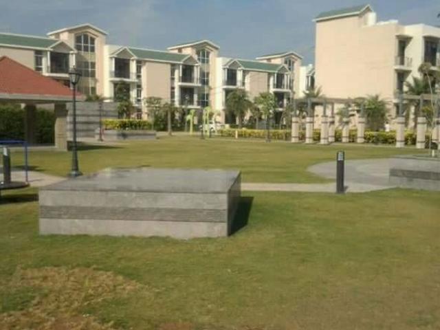 Omaxe Silver Birch 3 Bedroom 1180 Sq. Ft. Builder Floor in North Mullanpur Chandigarh Listing ID: #10060
