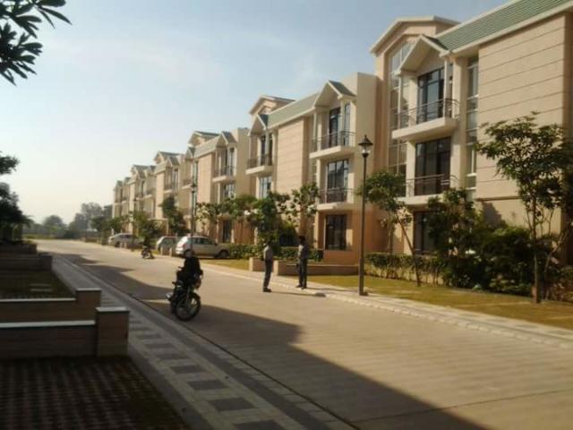 Omaxe Silver Birch New Chandigarh 3 Bedroom 1180 Sq. Ft. Builder Floor in Mullanpur Chandigarh Listing ID: #10036