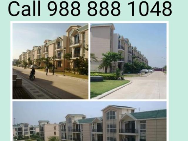 Omaxe Silver Birch New Chandigarh 3 Bedroom 1180 Sq. Ft. Builder Floor in Mullanpur Chandigarh Listing ID: #10037