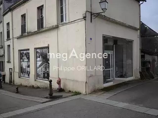 Ombrée d'Anjou 49420 Achat / Vente immeuble