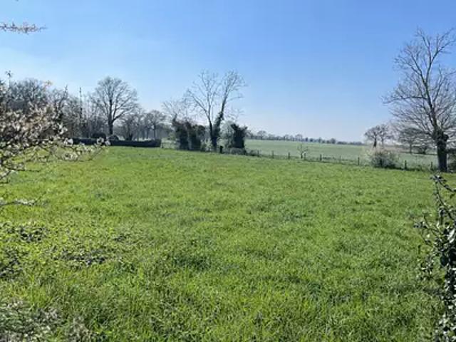 Ombrée d'Anjou 49420 Achat / Vente terrain