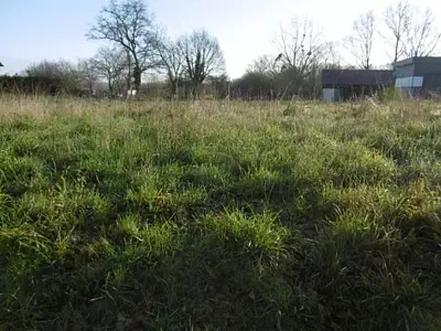 Ombrée d'Anjou 49420 Achat / Vente terrain