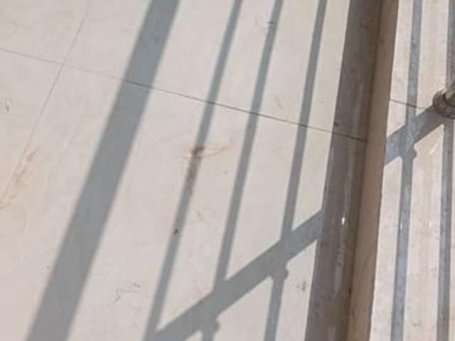 Ompee Drona Floors 1 Bedroom 600 Sq. Ft. Builder Floor in Sector 110 Gurgaon Listing ID: #10236