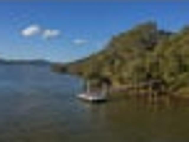 On the edge of the Whitianga Harbour