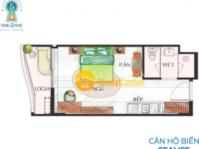 Đón đầu sự trở lại của thị trường bds với dự án the 5 way là mảnh ghép cuối cùng của quần thể pq