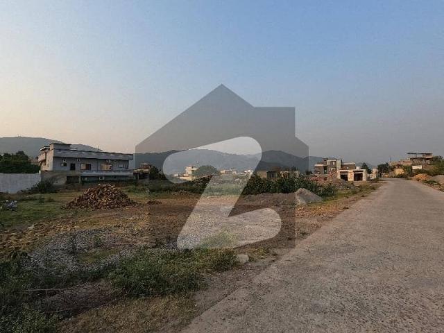 On Excellent Location 11250 Square Feet Spacious Residential Plot Available In Shah Allah Ditta For Sale