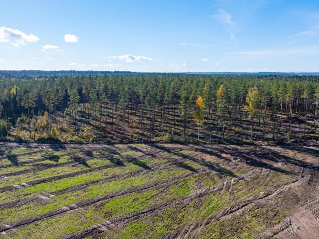 Önnerud Tomt 6 och