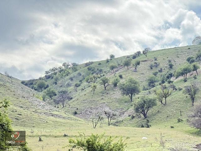 ÖNCÜ'DEN KIZIK MAH. 558 M2 İMARA YAKIN YATIRIM FIRSATI