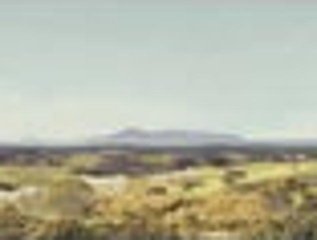 Once in a lifetime. Te Arai Estate