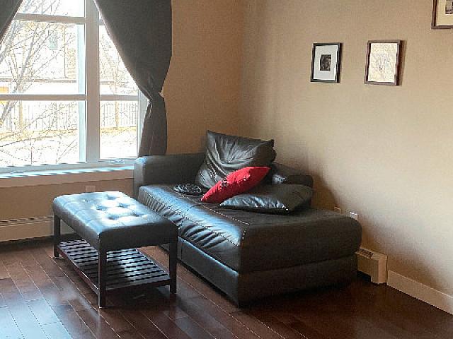 One Bdrm Condo For Sale Ion In Windermere Edmonton