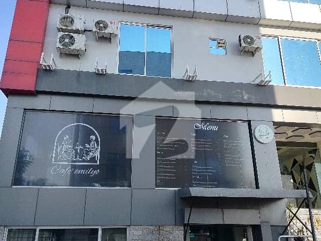 One Bed Furnished And Luxury Apartments For Rent
