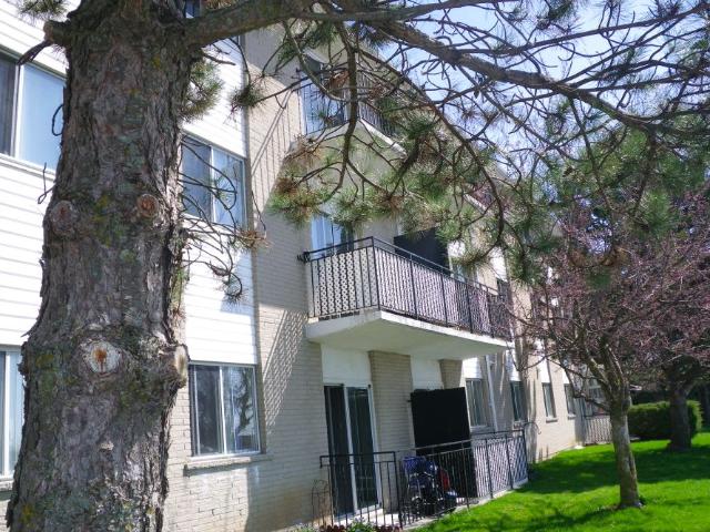 One Bedroom Apartment