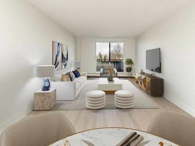 One Bedroom Apartment