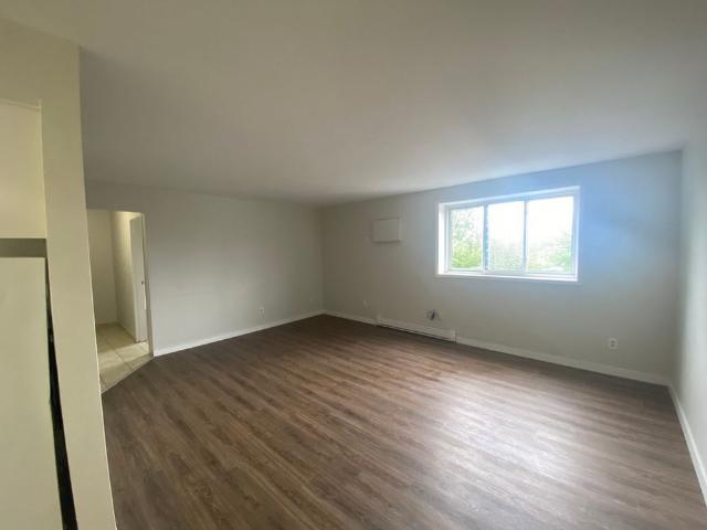 One Bedroom Apartment
