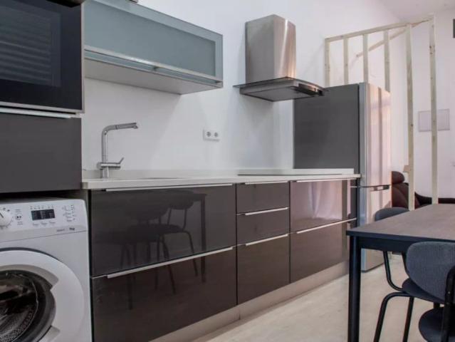 One bedroom apartment for rent in Madrid
