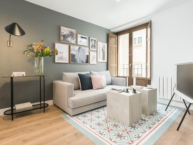 One bedroom apartment in Madrid's downtown area