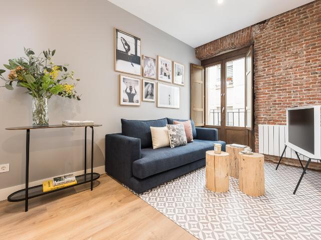 One bedroom apartment in Madrid's downtown area