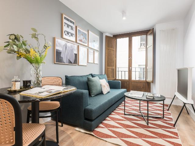 One bedroom apartment in Madrid's downtown area