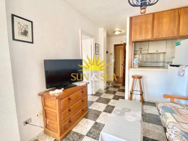 ONE BEDROOM APARTMENT IN PLAYA HONDA