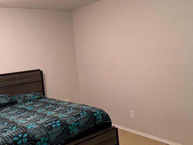 One Bedroom Basement For Rent