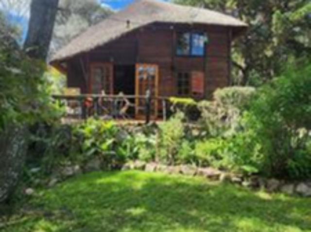 one bedroom cottage for rental
