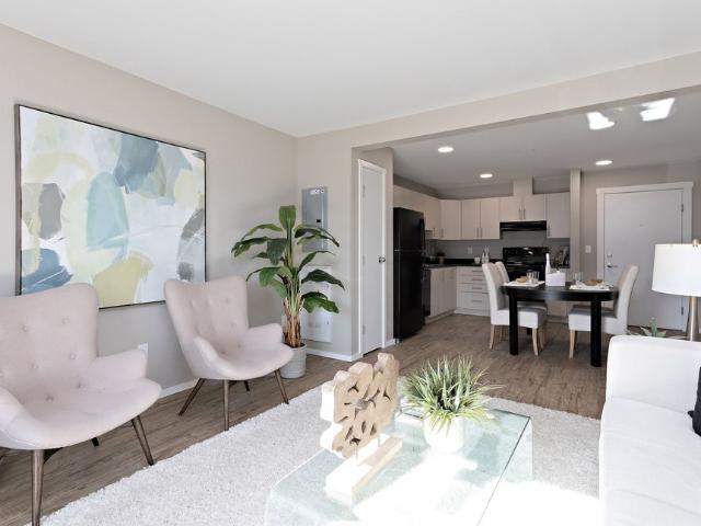 One Bedroom One Bath