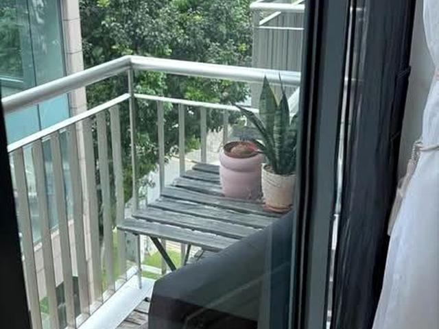 One Oxley Rise D9, Apartment