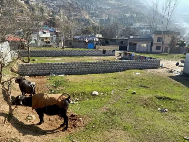 One marla is equal to 8 lacs Muzaffarabad ID 53985