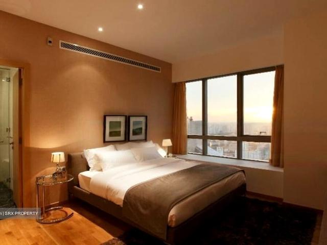 One Shenton D1, Apartment