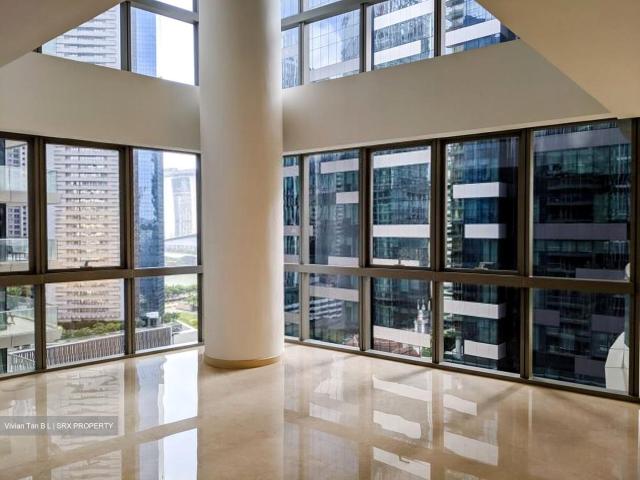 One Shenton D1, Apartment