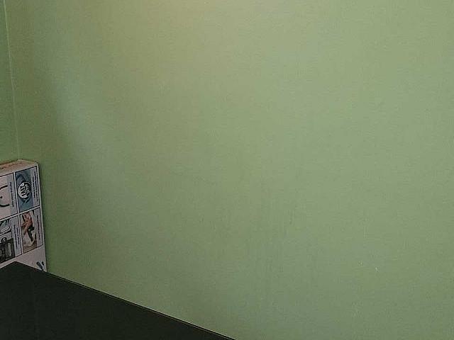 One Room In Basement For Rent