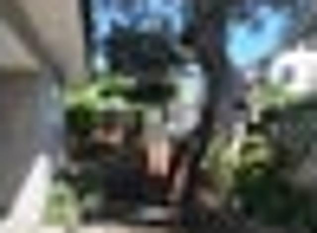 Onehunga, 4 bedrooms, $1100 pw
